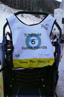 13.1.
