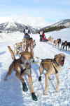 Úterý 15.01.2008 - 8. a 9. etapa