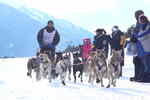 Úterý 15.01.2008 - 8. a 9. etapa