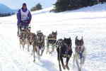 Úterý 15.01.2008 - 8. a 9. etapa