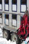 Úterý 15.01.2008 - 8. a 9. etapa