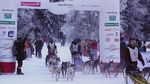 14.01.2009
