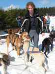 AlaskanDogs.cz