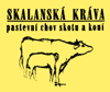 Skalanská kráva