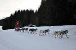 13. 1. 2015 3. etapa (foto Elodie Arnaud)