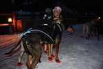 17. 1. 2015 6A. etapa (foto Rolda)