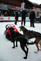 21. 1. 2015 8B. etapa (foto Rolda)